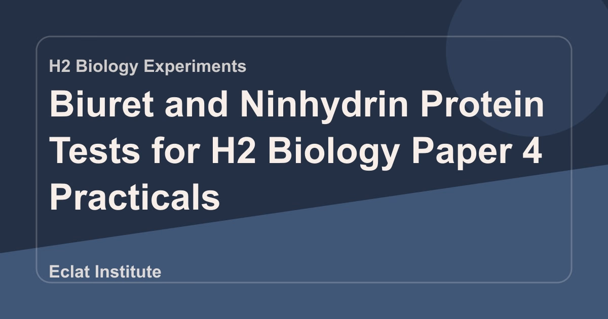Biuret and Ninhydrin Protein Tests for H2 Biology Paper 4 Practicals