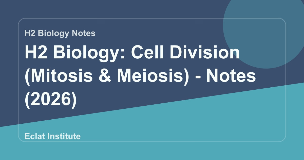 H2 Biology: Cell Division (Mitosis & Meiosis) - Notes (2026)