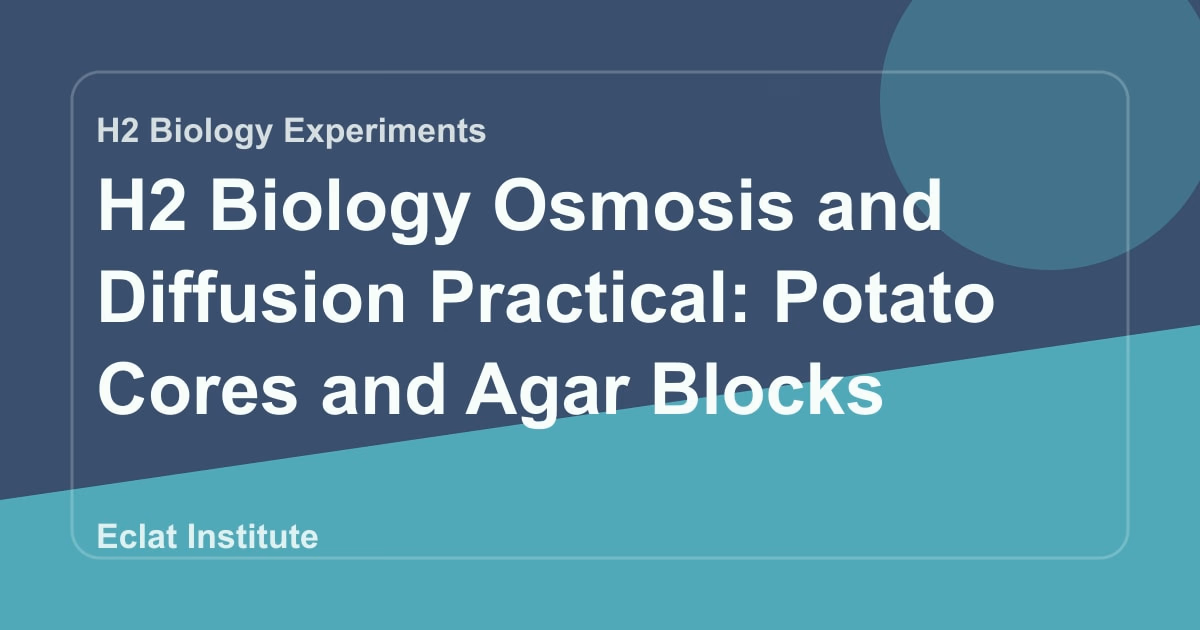 H2 Biology Osmosis and Diffusion Practical: Potato Cores and Agar Blocks
