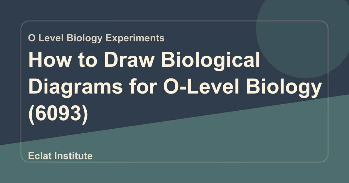 How to Draw Biological Diagrams for O-Level Biology (6093)