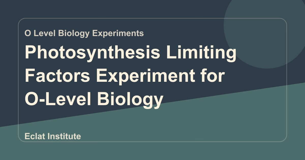 Photosynthesis Limiting Factors Experiment for O-Level Biology