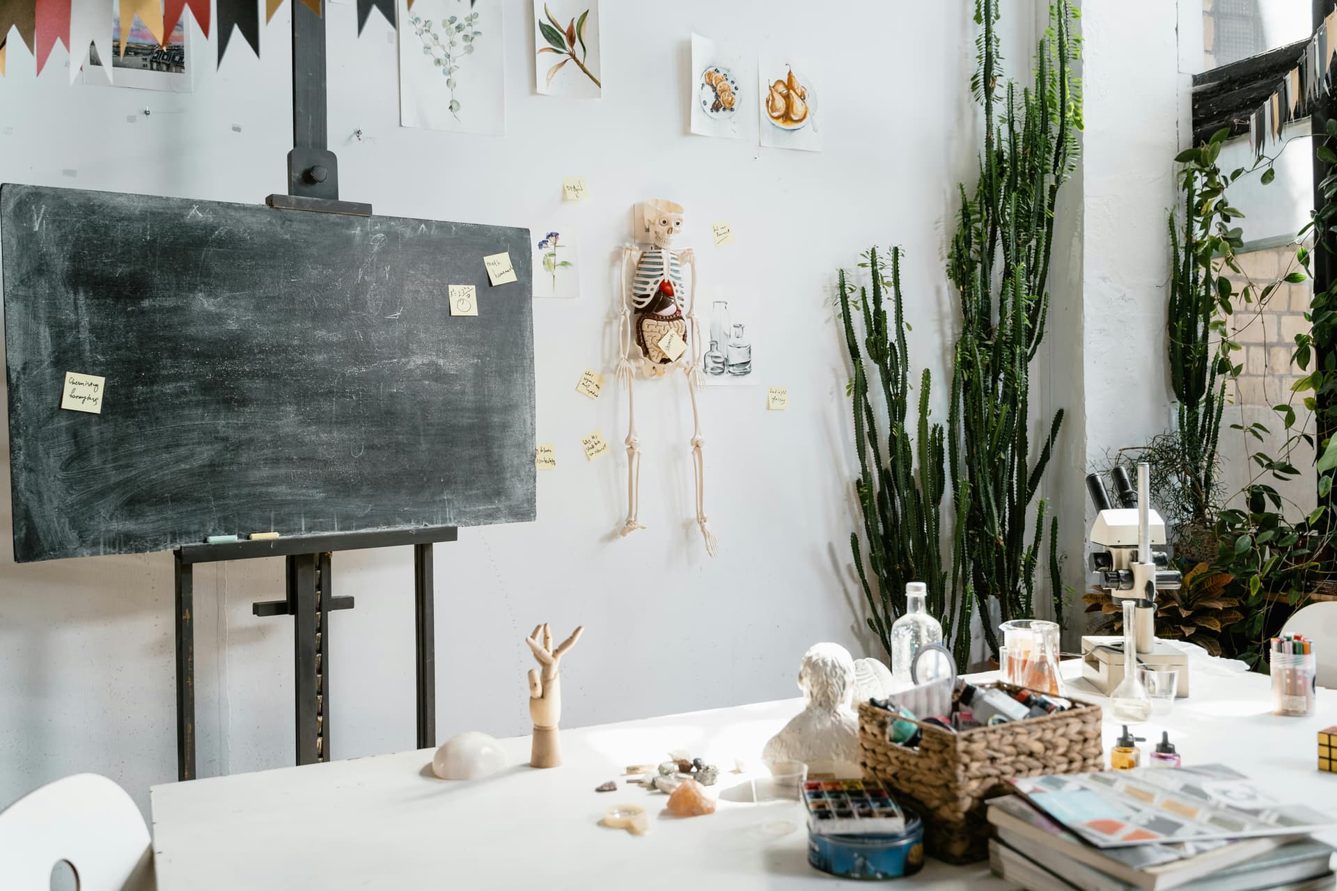 H2 Biology Practical 2026: Lab Mastery Blueprint