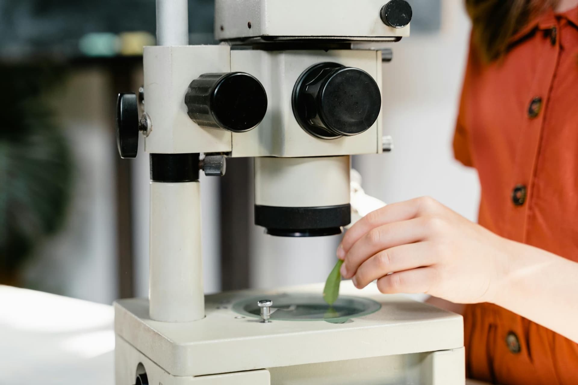 H2 Biology Practical: Optical Microscope Mastery