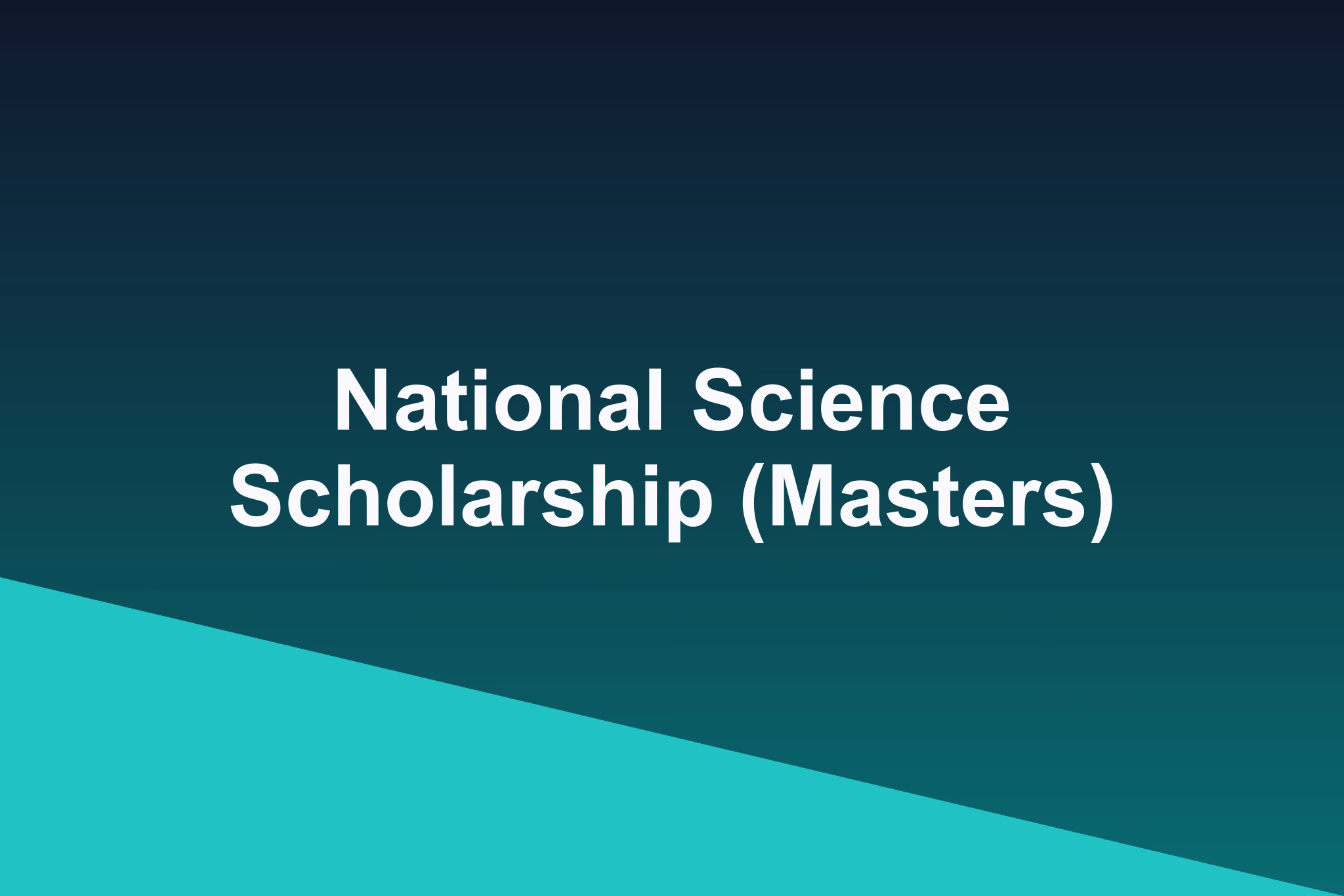 National Science Scholarship (Masters): 2025 Profile
