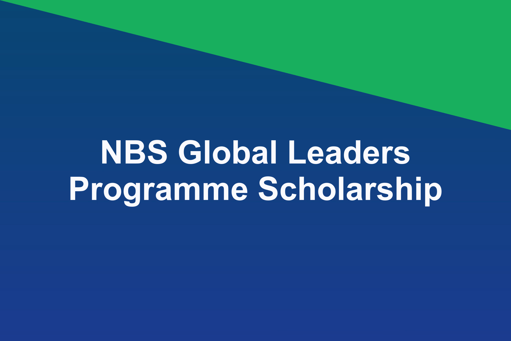 NBS Global Leaders Programme Scholarship: 2025 Profile