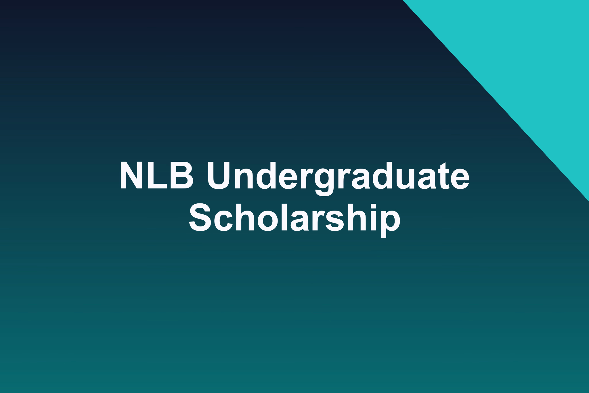 NLB Undergraduate Scholarship: 2025 Profile