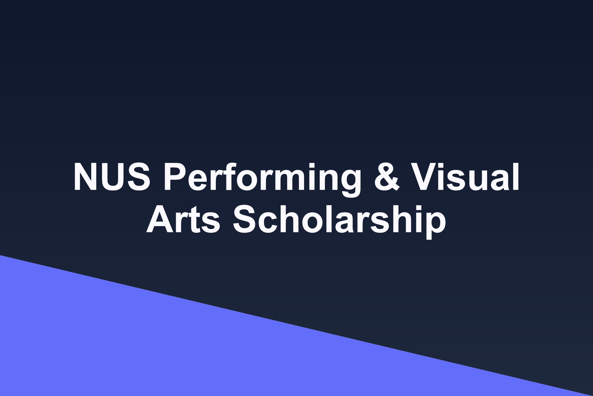 NUS Performing & Visual Arts Scholarship: 2025 Profile