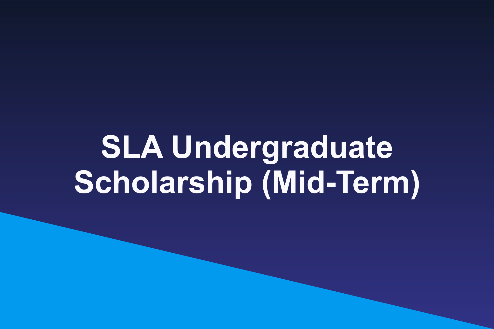 SLA Undergraduate Scholarship (Mid-Term): 2025 Profile