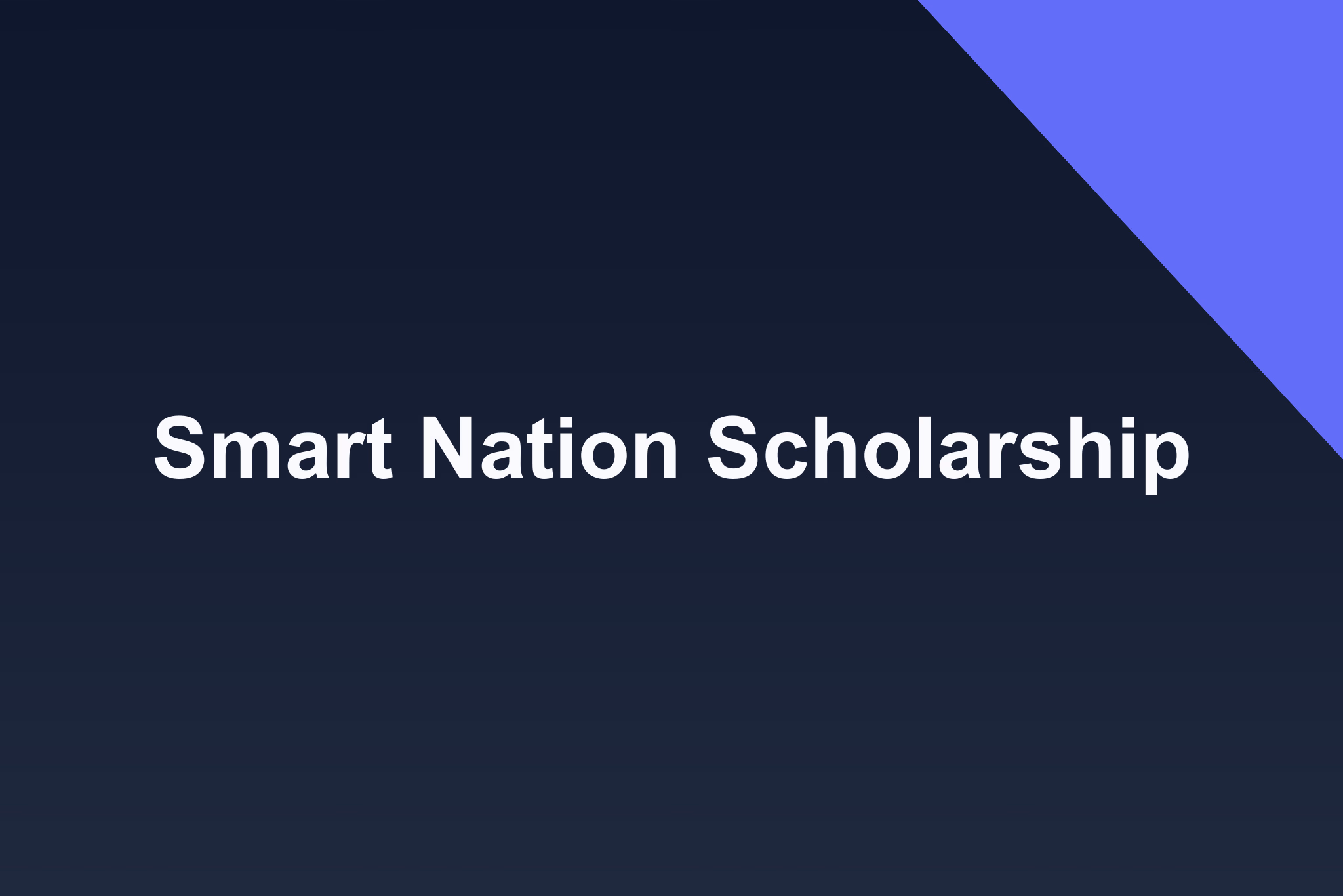 Smart Nation Scholarship: 2025 Profile