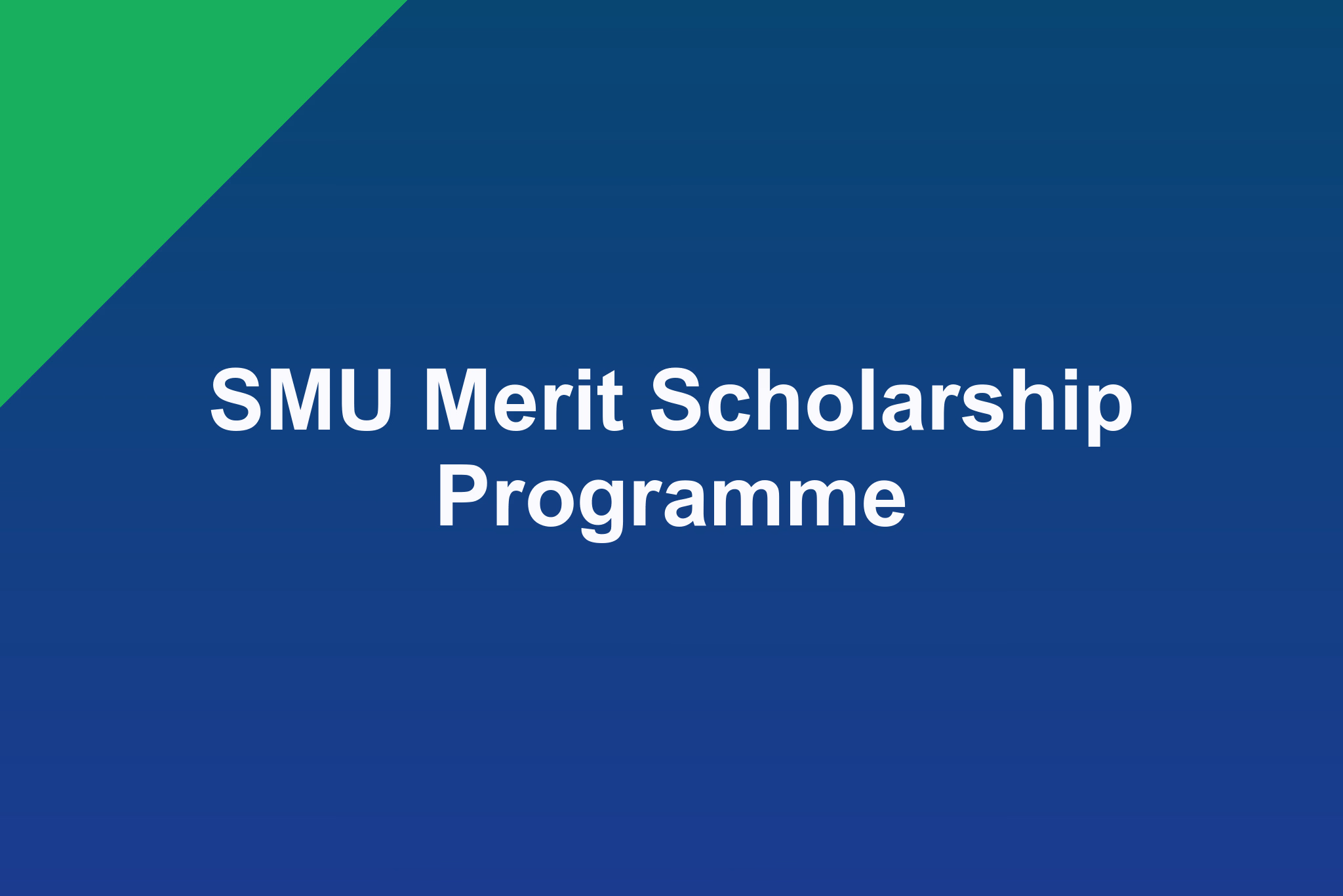 SMU Merit Scholarship Programme: 2025 Profile