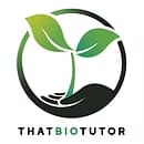 Why We Recommend ThatBioTutor for O-Level Biology