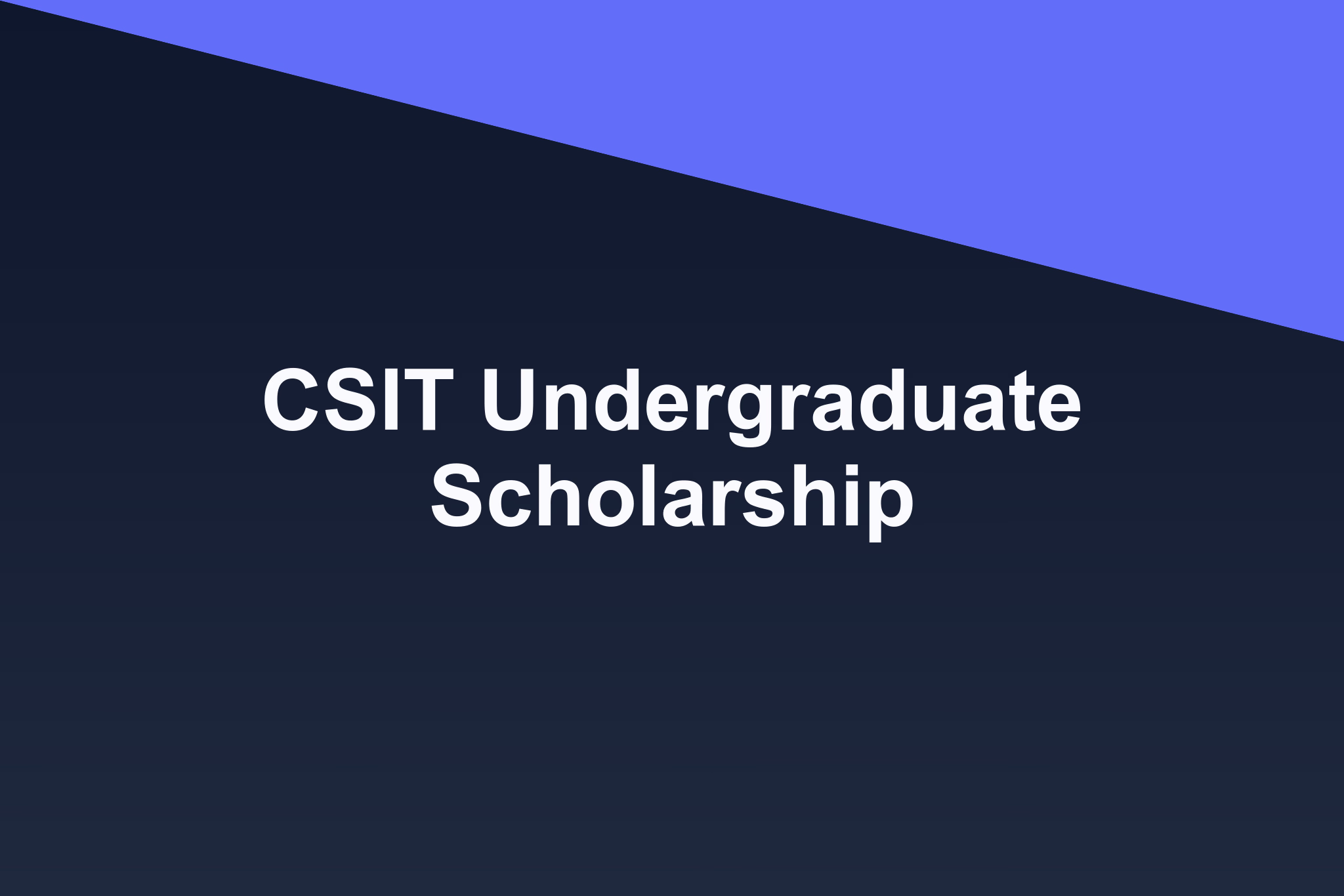 CSIT Undergraduate Scholarship: 2026 Profile
