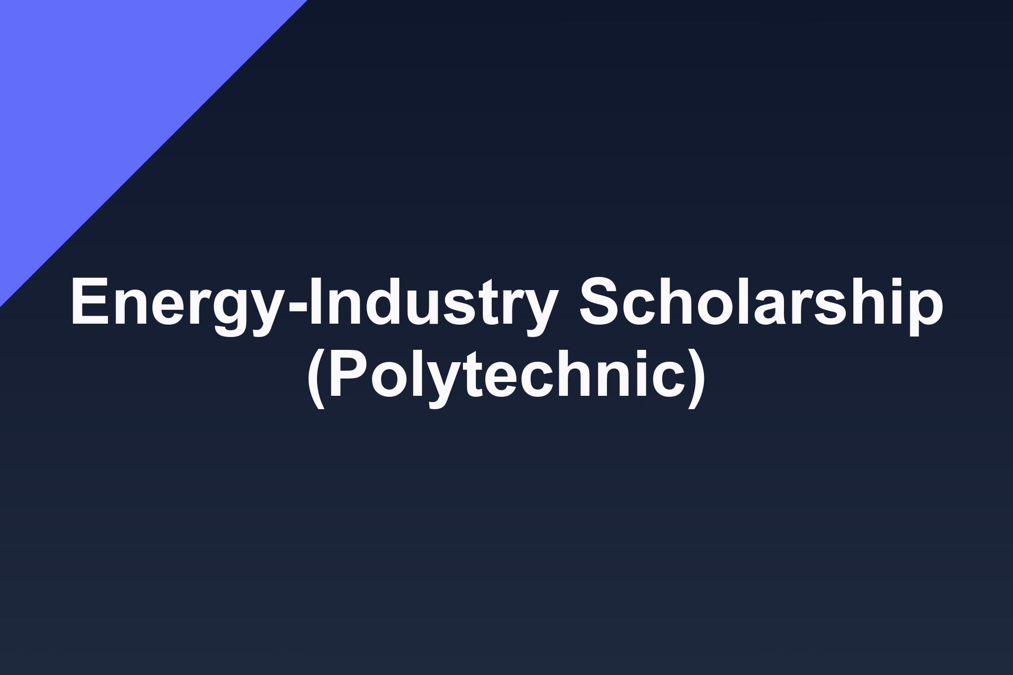 Energy-Industry Scholarship (Polytechnic): 2025 Profile