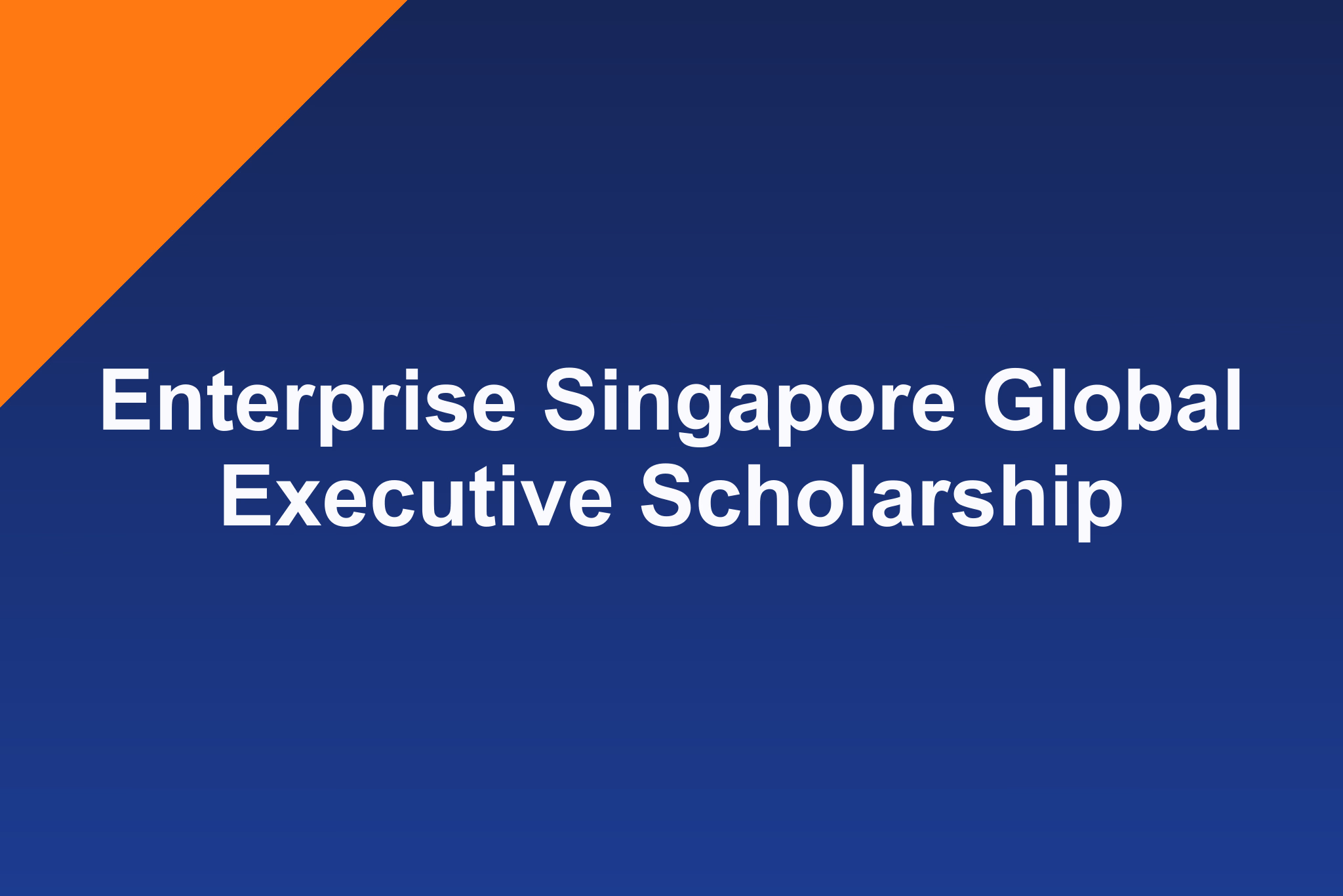 Enterprise Singapore Global Executive Scholarship: 2026 Profile