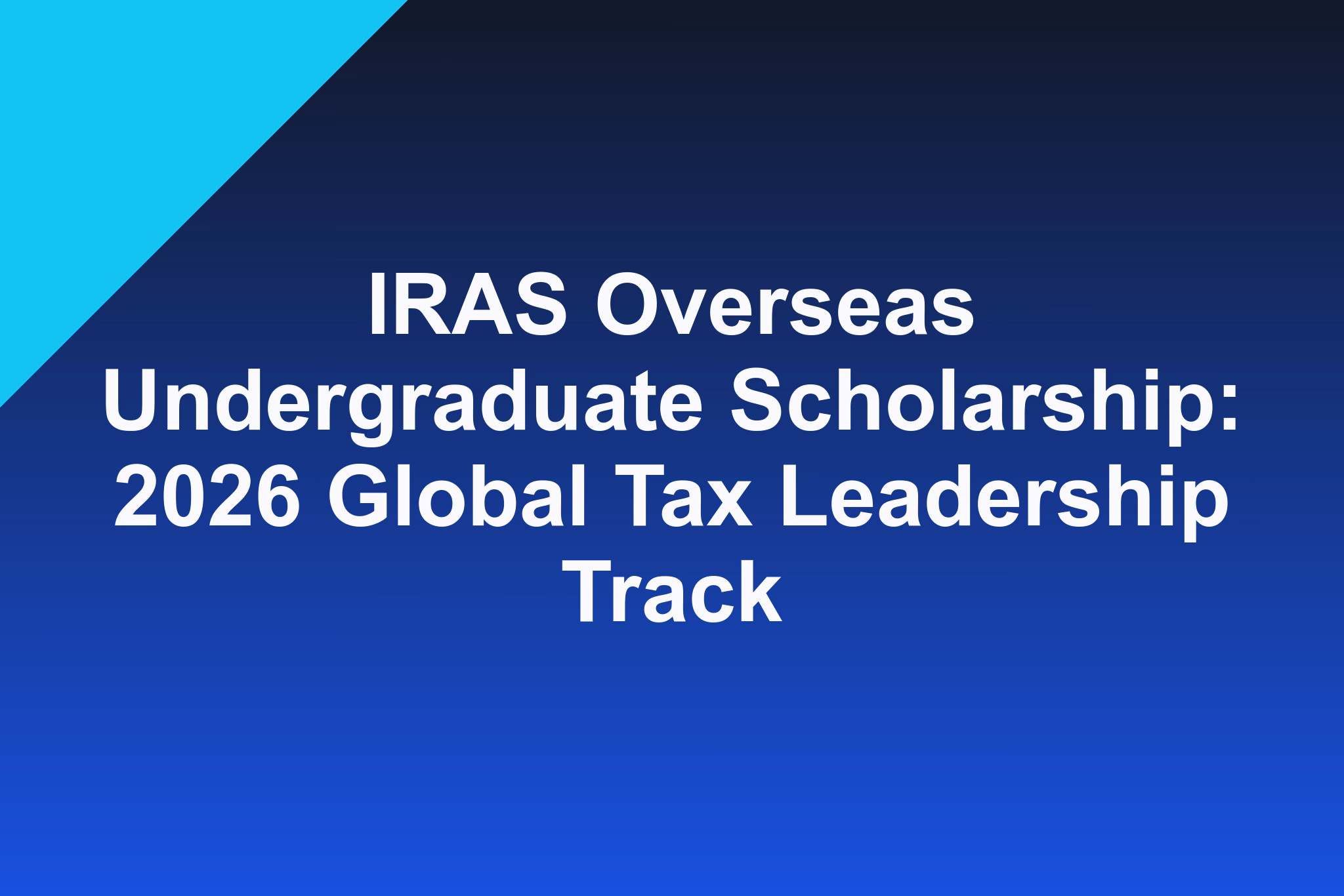 IRAS Overseas Undergraduate Scholarship: 2026 Global Tax Leadership Track