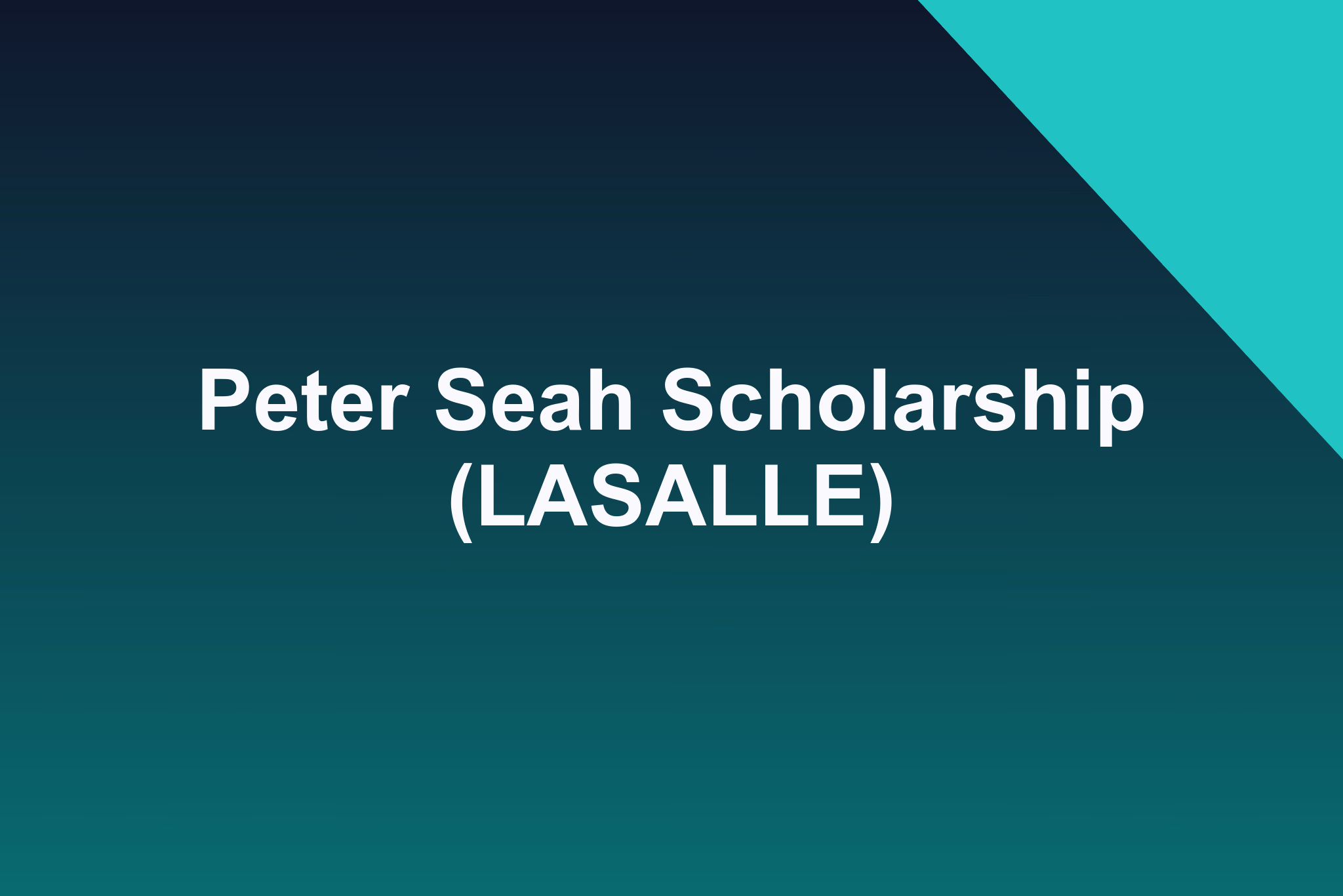 Peter Seah Scholarship (LASALLE): 2025 Profile